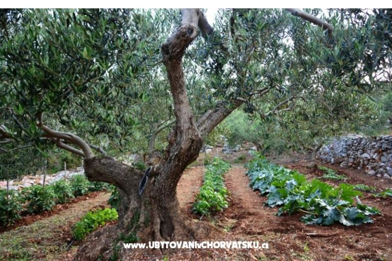 House Sweet Dreams – photo 15