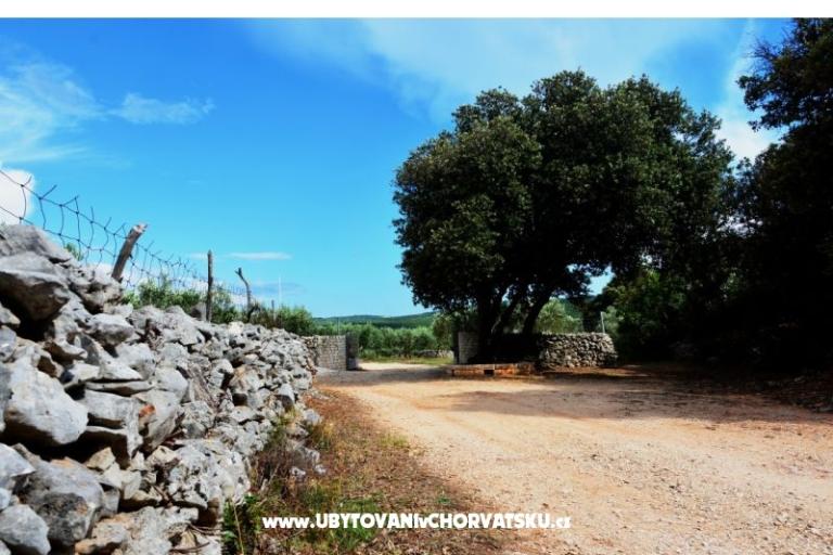 House Sweet Dreams – photo 4