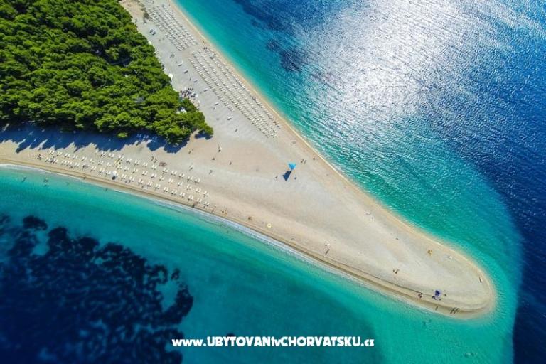 House Bongovila – photo 13