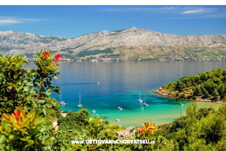 House Bongovila – photo 14