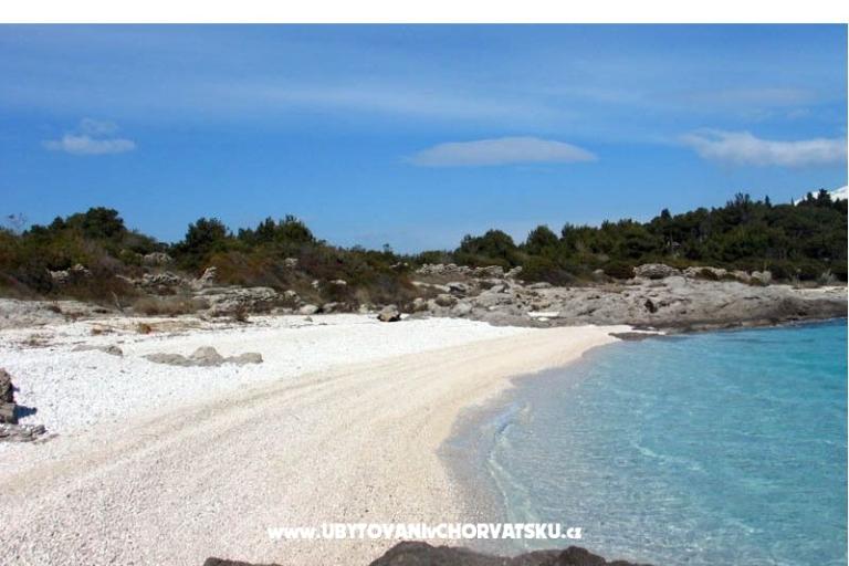 House Bongovila – photo 15