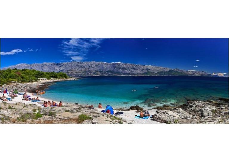 House Bongovila – photo 16