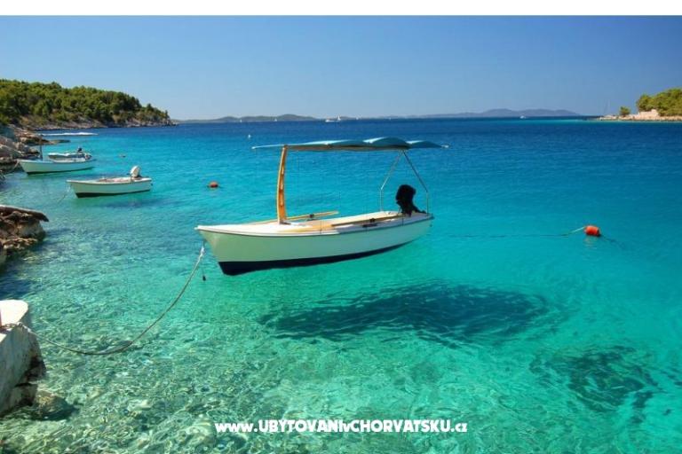 House Bongovila – photo 17