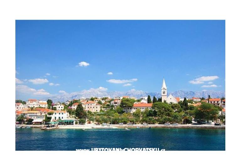 House Bongovila – photo 2