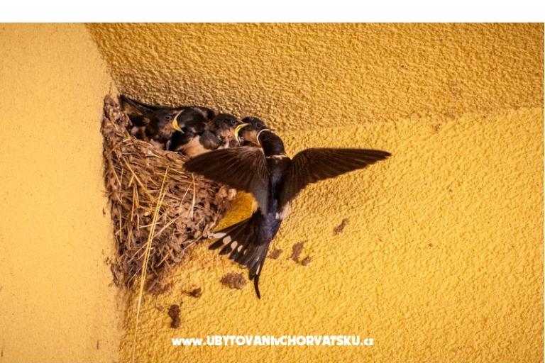 Peter´s Apartment – photo 6