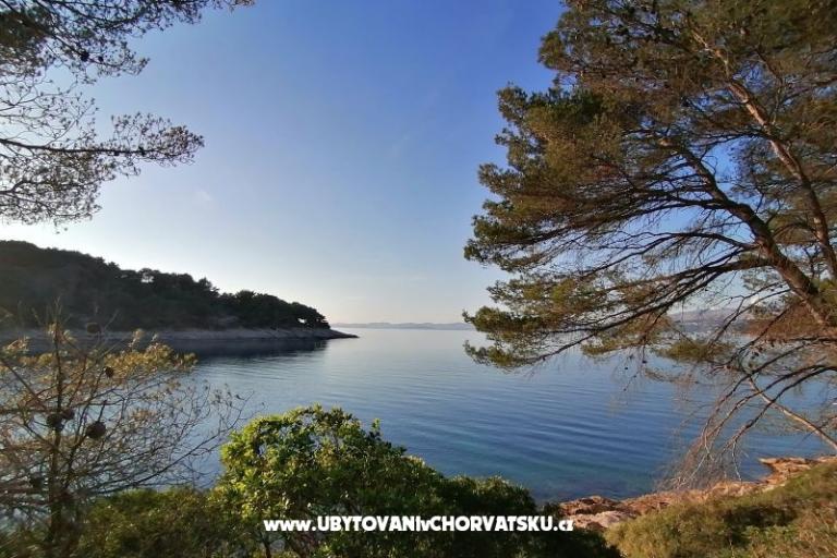 Apartments Vesna – photo 30