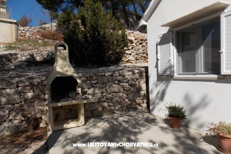 Roninzonada Eda – photo 4