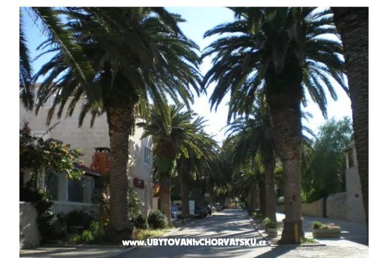 Annelie Cottage (villa Annelie) – photo 41