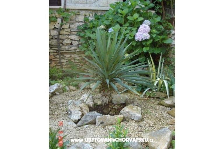 Vila Blanka Sutivan – photo 5