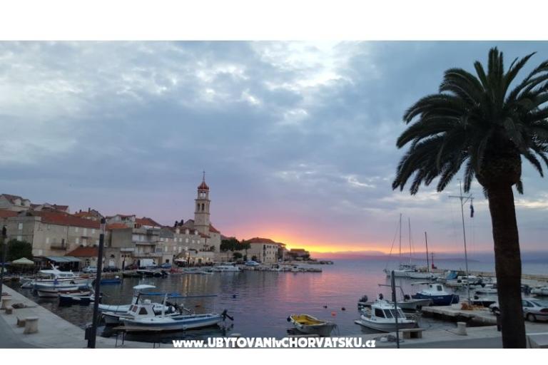 Vila Magdalena – photo 9