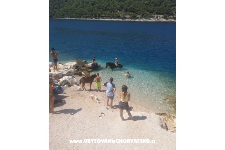 Vila Punta – photo 10