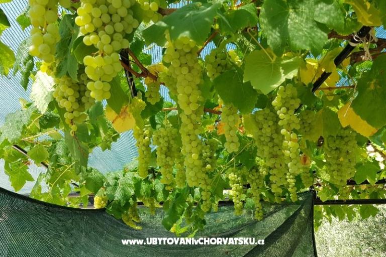 Villa Canadiana – photo 22