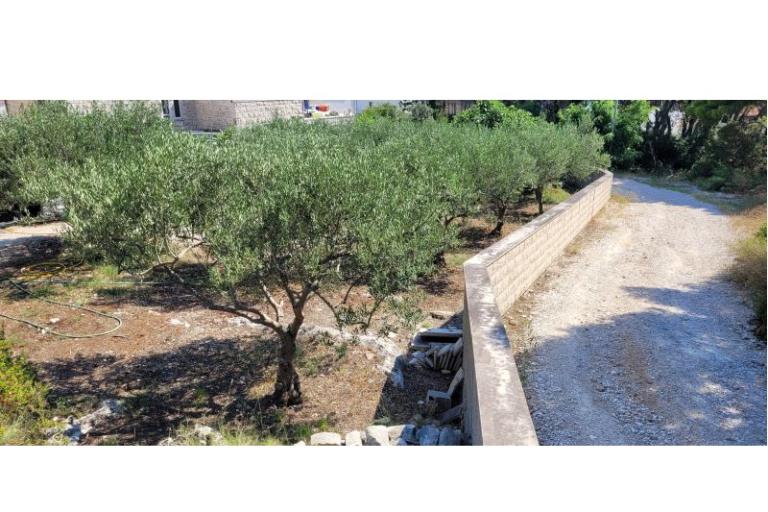 Villa Canadiana – photo 37