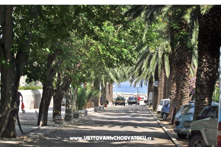 Villa Magda – photo 15