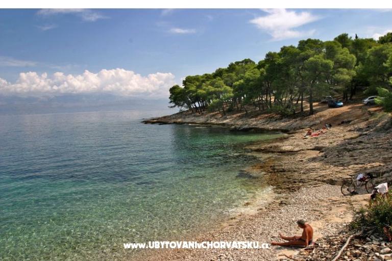 Villa Magda – photo 16