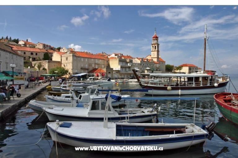 Villa Magda – photo 17