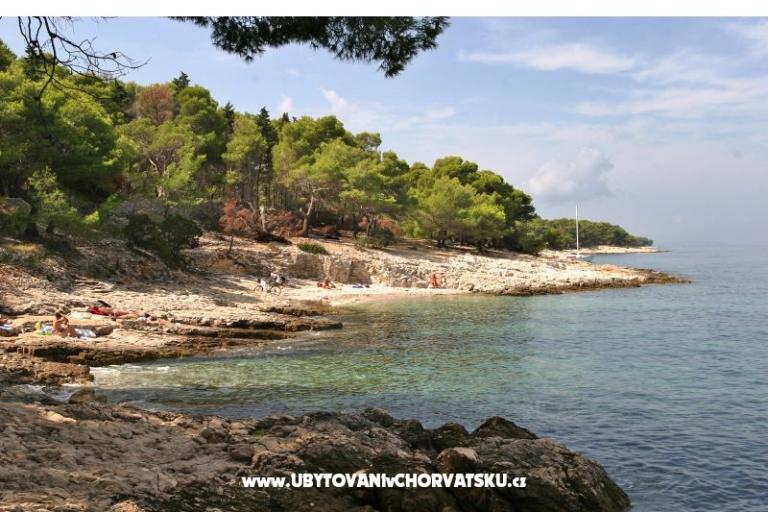 Villa Magda – photo 18