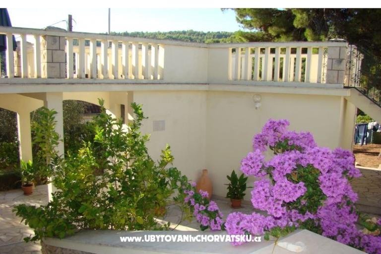 Villa Magda – photo 8