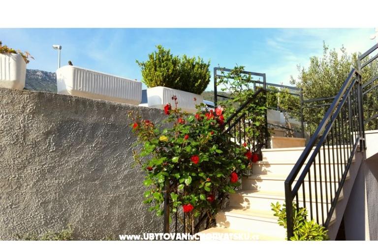 Apartments Bezma – photo 8