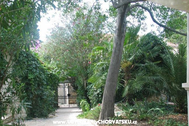 Villa Rustika – photo 8