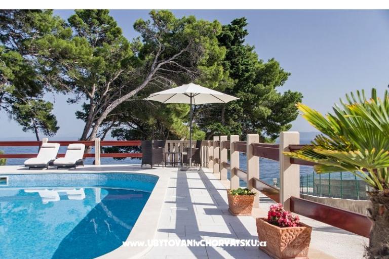 Villa Vera – photo 3