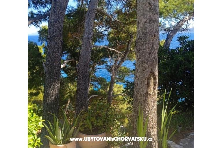 Accommodation Leon – photo 16