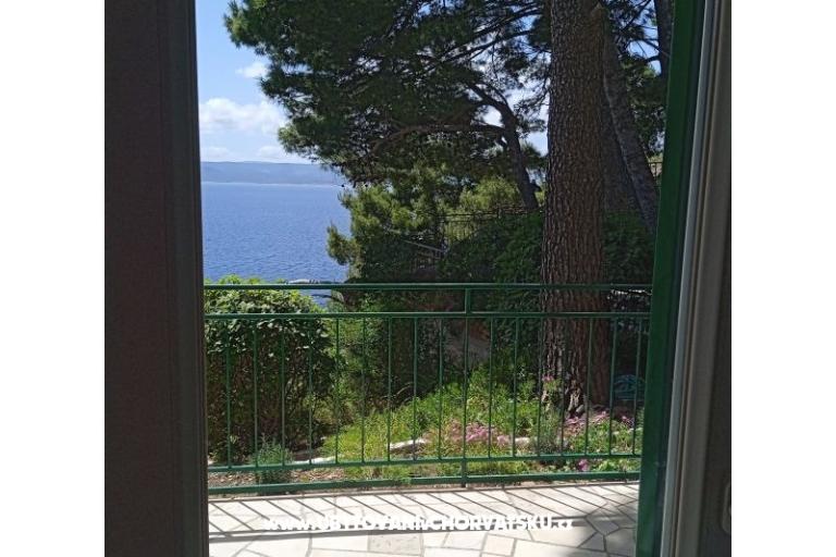 Accommodation Leon – photo 23