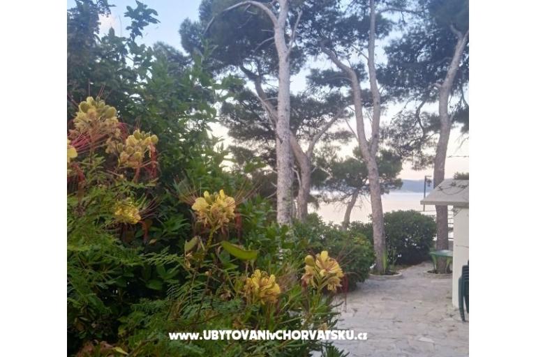 Accommodation Leon – photo 28