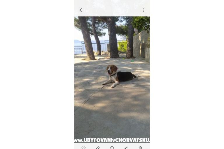 Accommodation Leon – photo 29