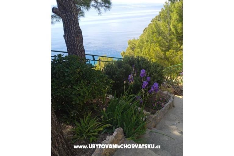 Accommodation Leon – photo 5