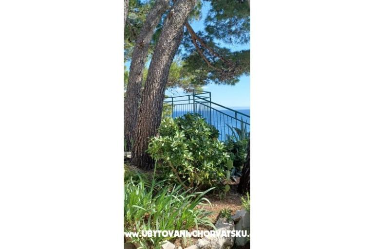 Accommodation Leon – photo 6