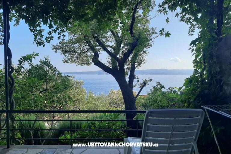 Adria Marija – photo 6