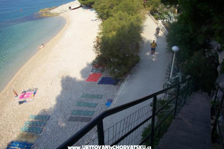 Apartment Miranda – photo 3