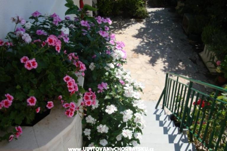 Apartment Nada Žamić – photo 7