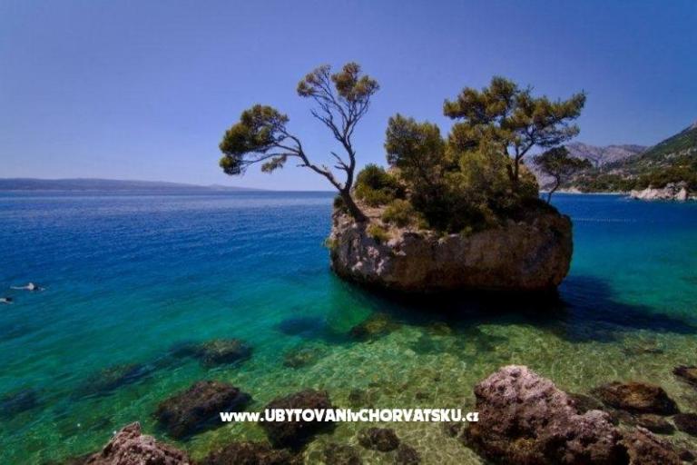 Apartment Villa Tunja – photo 10