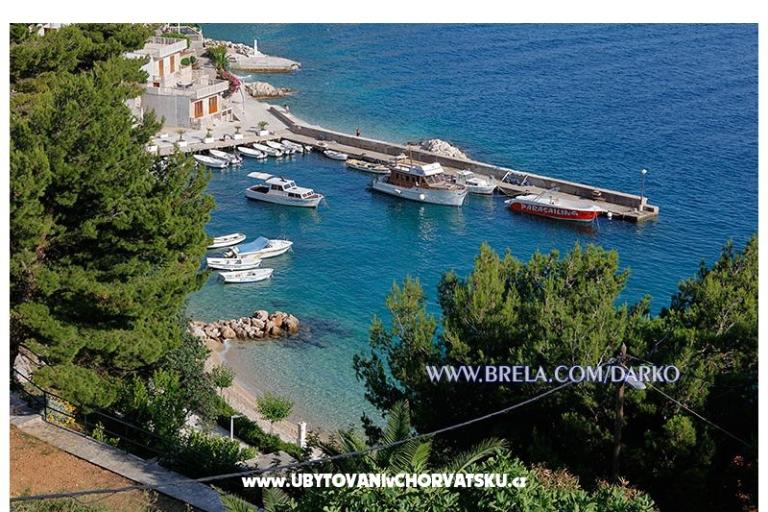 Apartments Darko – photo 4