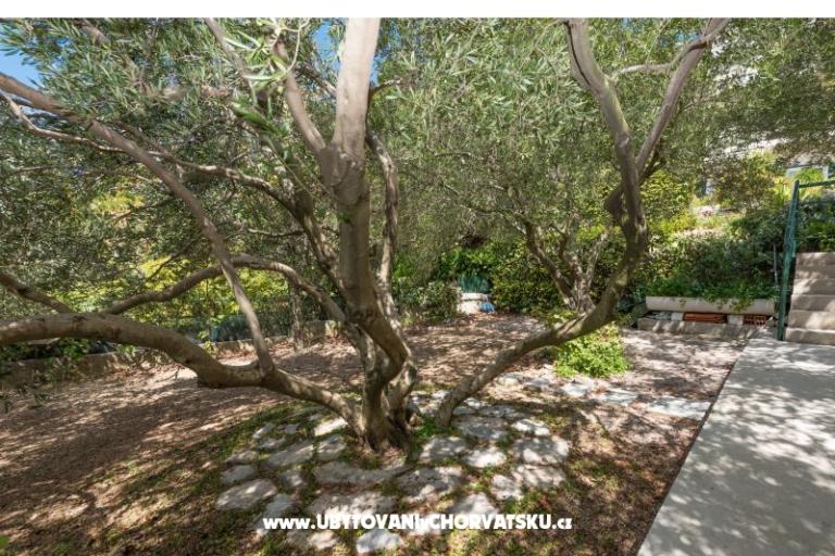 Apartments KiS Zelić – photo 10