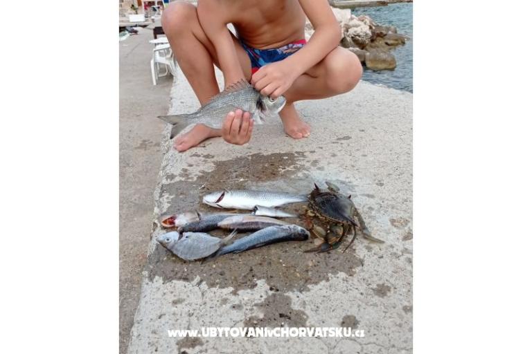 Apartments KiS Zelić – photo 21