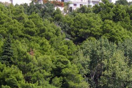 Apartments Nela – photo 5