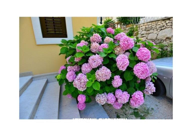 Apartments Perla – photo 14