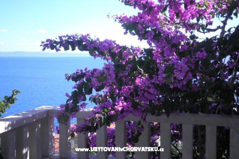 Apartments Perla – photo 15