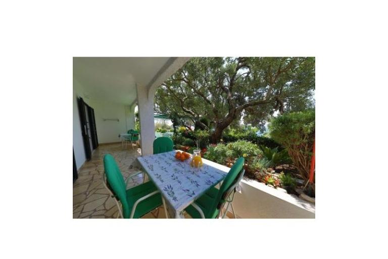 Apartments Ribičić Brela – photo 6