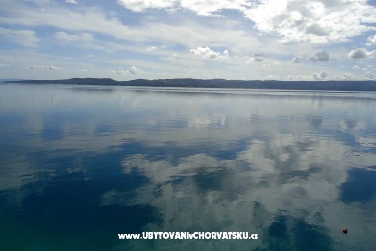 Apartments Rose – photo 9