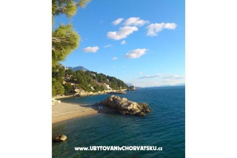 Apartments Ursić Žarko – photo 3