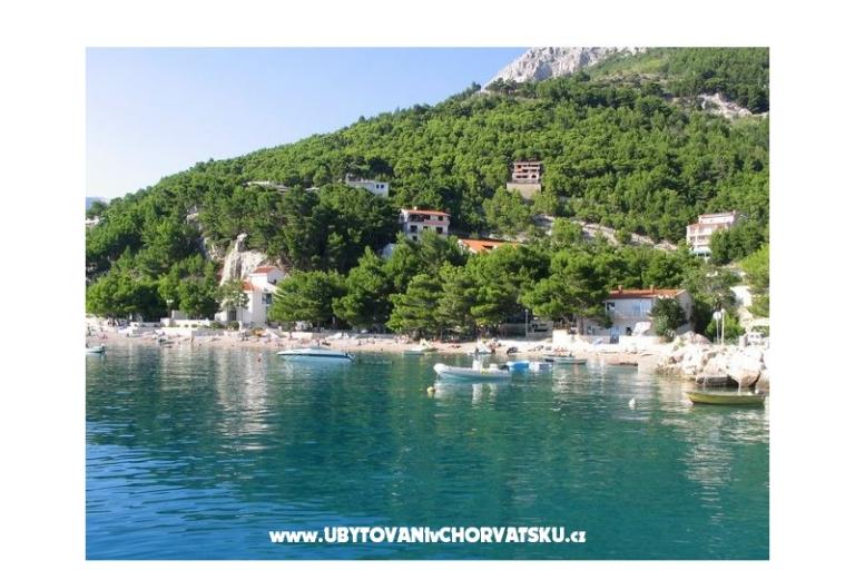 Apartments Vesna  - Brela – photo 11