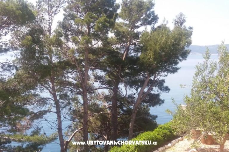 Apartments Vesna  - Brela – photo 4