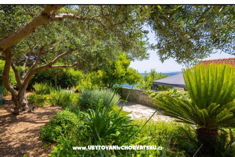 Apartments Villa Porat – photo 4