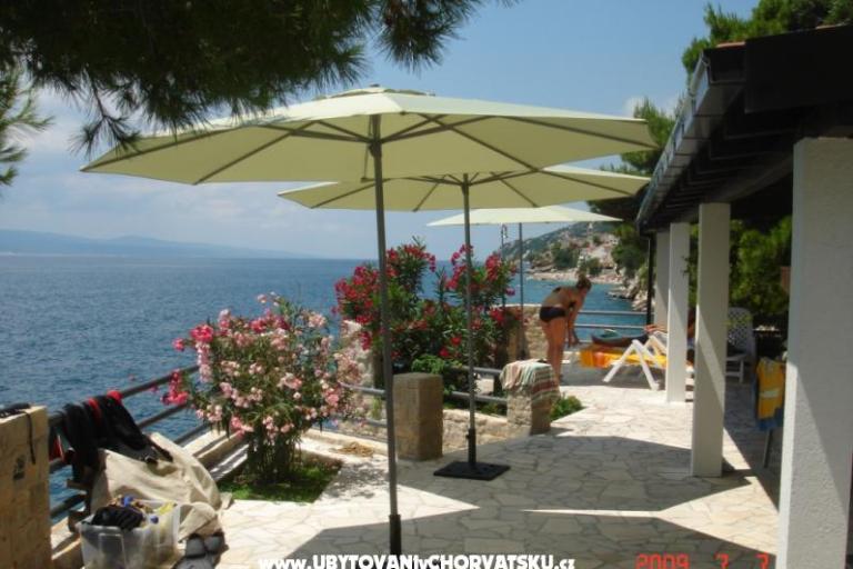 Apartments Villa Antares – photo 3