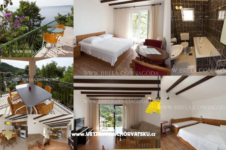 Apartments Jagoda – photo 5