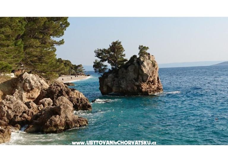 Apartment R - Brela – photo 15